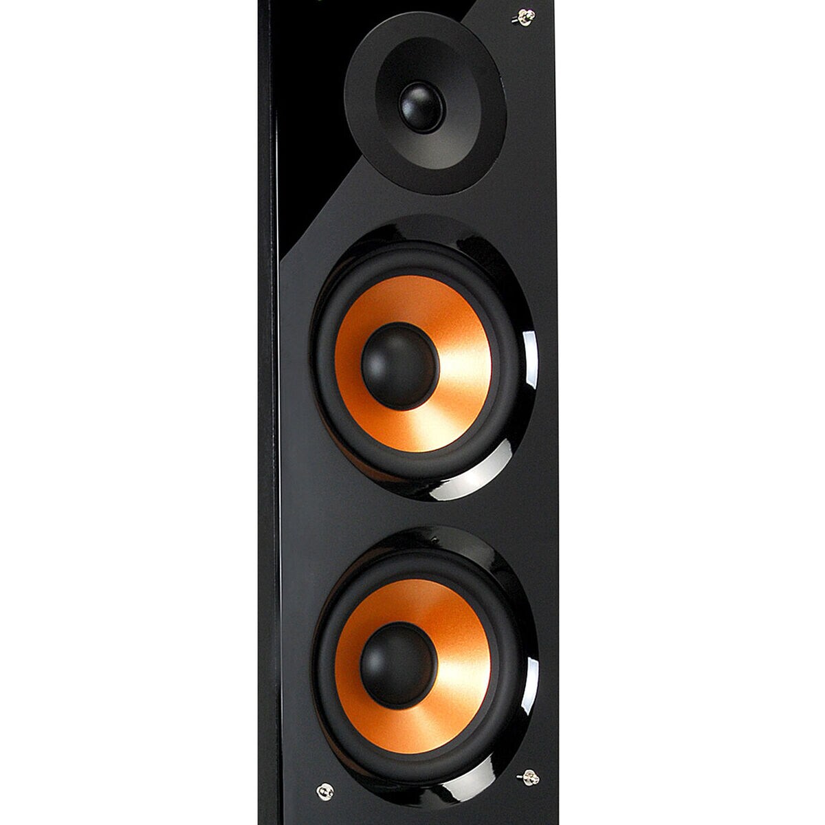 Pure acoustics 5.1 speakers shops price